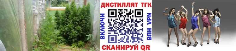 ТГК Wax  Купить закладки  Дятьково 
